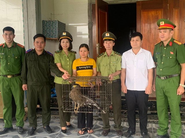 Người dân tự nguyện giao nộp 2 cá thể động vật quý hiếm- Ảnh 1.