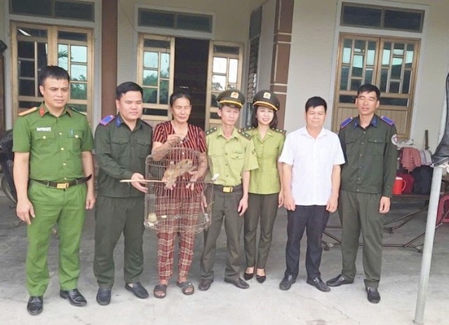 Người dân tự nguyện giao nộp 2 cá thể động vật quý hiếm- Ảnh 2.