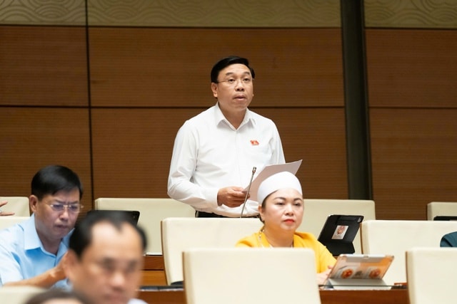 ĐBQH: Tăng thu không được làm suy giảm động lực sản xuất, kinh doanh- Ảnh 2.