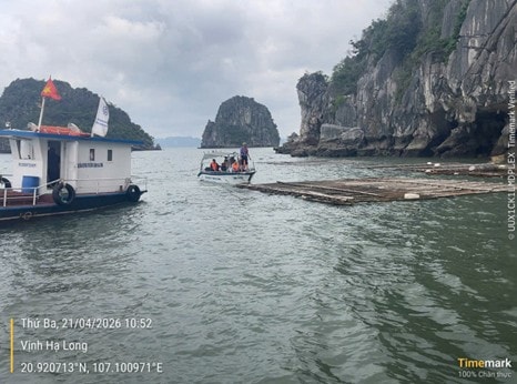 Phát hiện liên tiếp 4 vụ nuôi trồng thủy sản trái phép trên Vịnh Hạ Long- Ảnh 1.