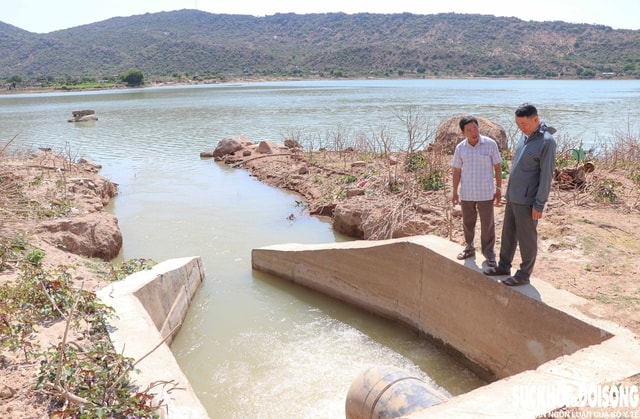 Vùng đất ‘tâm hạn’ ở Khánh Hoà được hồi sinh- Ảnh 5.