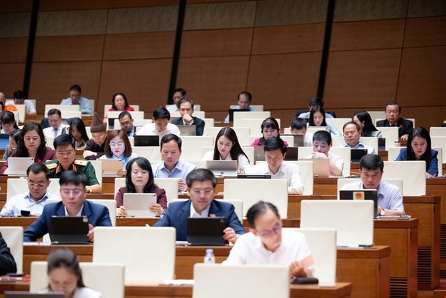 ĐBQH đề xuất coi việc sinh đủ 2 con là trách nhiệm xã hội gắn với mục tiêu phát triển bền vững của đất nước- Ảnh 2.