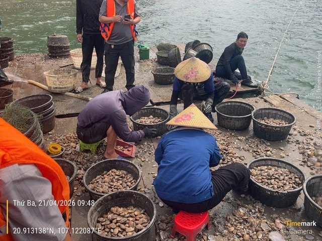 Phát hiện liên tiếp 4 vụ nuôi trồng thủy sản trái phép trên Vịnh Hạ Long- Ảnh 2.