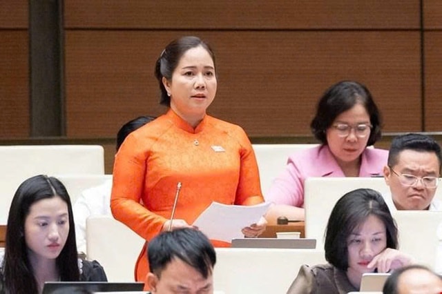 ĐBQH: Một lượng tài sản lớn trong dân vẫn nằm ngoài hệ thống tài chính- Ảnh 1.