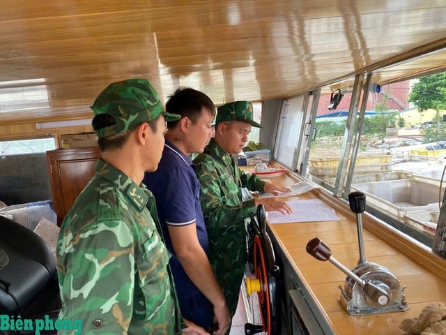 Tạm giữ tàu cá chở khoảng 10.000 lít dầu trên biển không rõ nguồn gốc - Ảnh 1.