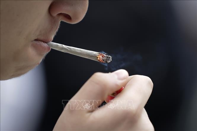 Anh cấm hút thuốc vĩnh viễn đối với người sinh sau ngày 1/1/2009- Ảnh 1. Anh cấm hút thuốc vĩnh viễn đối với người sinh sau ngày 1/1/2009- Ảnh 1.