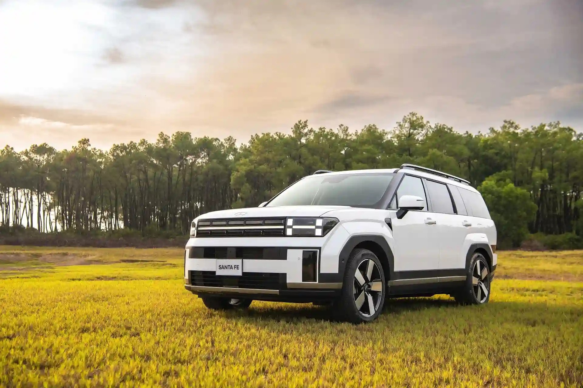 Tầm giá 1 tỷ chọn Hyundai Santa Fe hay Mazda CX-8? - 1