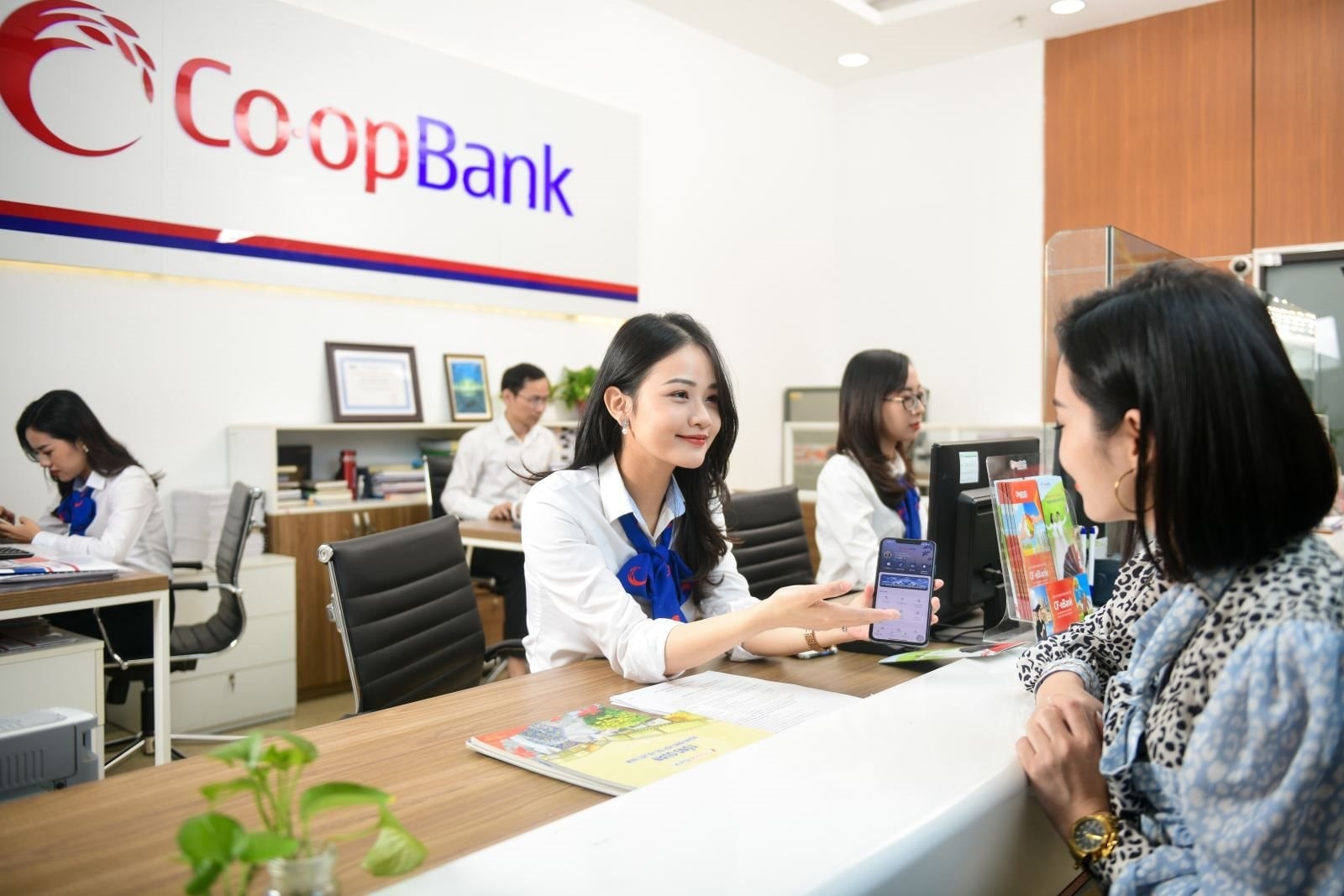 Thanh tra NHNN yêu cầu Co-opBank kiểm điểm, rút kinh nghiệm- Ảnh 1.