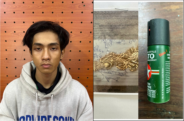 Bắt giữ Nguyễn Minh Nghĩa dùng bình xịt hơi cay cướp dây chuyền vàng- Ảnh 1.