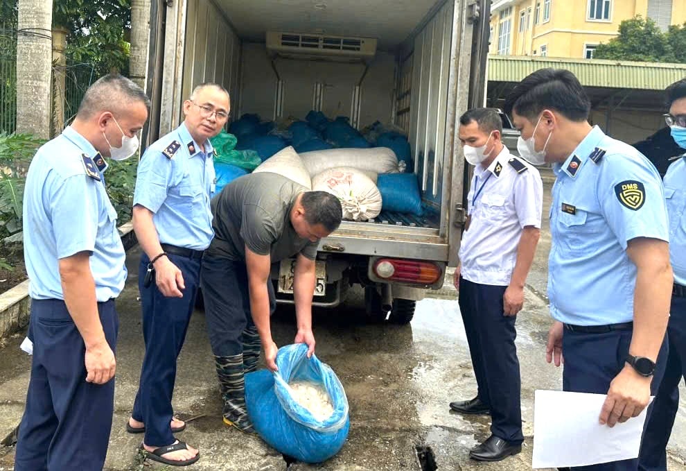 Hơn 1 tấn lòng lợn bốc mùi ôi thiu trong ô tô tải- Ảnh 1.