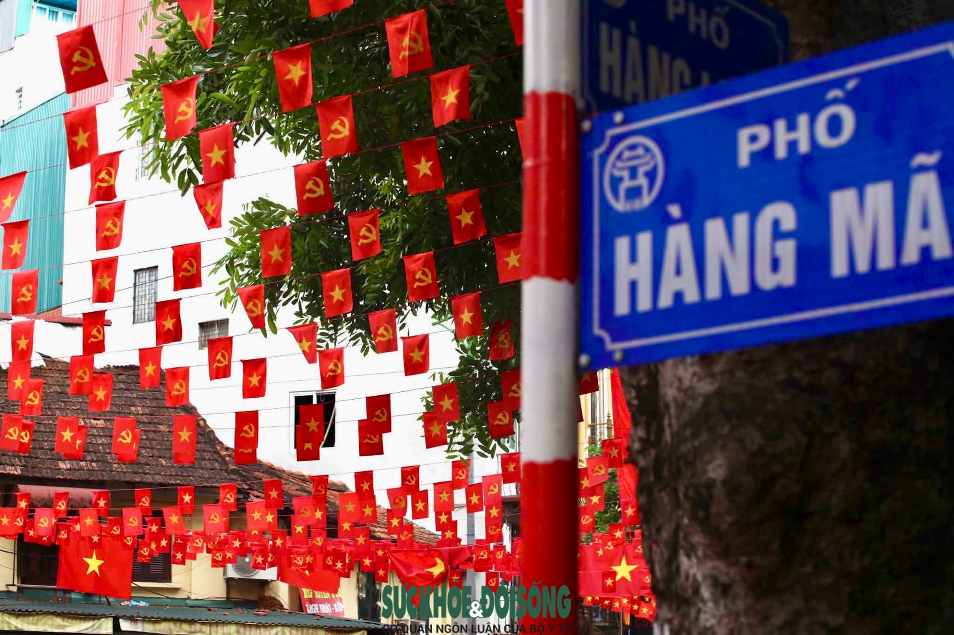 Phố phường Hà Nội rực rỡ cờ hoa hướng về ngày 30/4 vàQuốc tế Lao động 1/5- Ảnh 6.