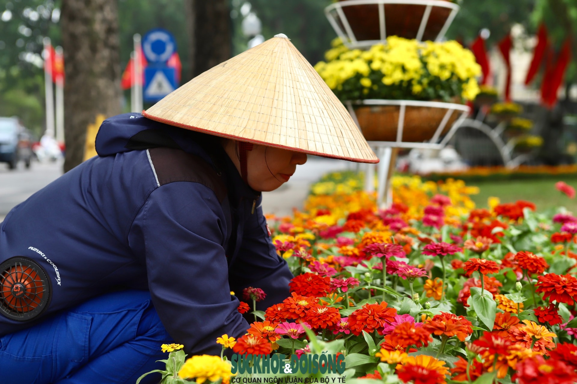 Phố phường Hà Nội rực rỡ cờ hoa hướng về ngày 30/4 vàQuốc tế Lao động 1/5- Ảnh 10.