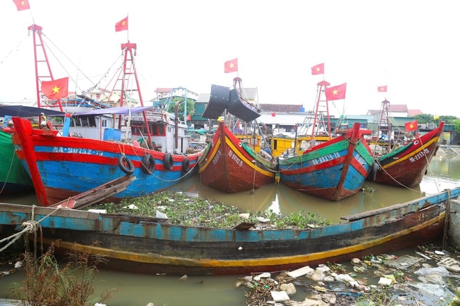 'Nghĩa địa tàu cá' làm khó ngư dân- Ảnh 12.