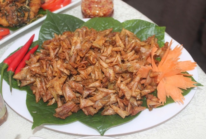Các hoạt động đặc sắc ở Di sản thiên nhiên thế giới dịp lễ 30/4 - 1/5- Ảnh 15.