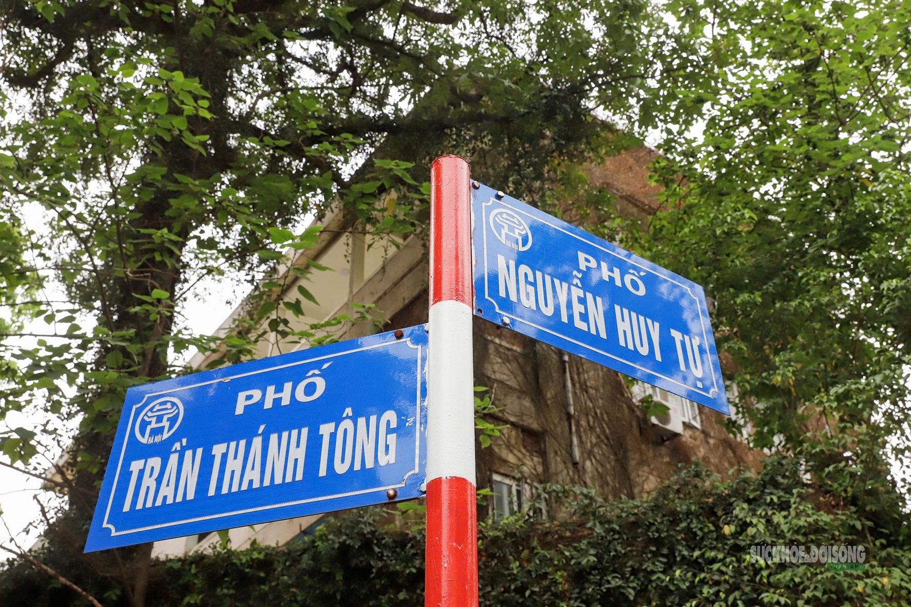 Zone 9 ở Trần Thánh Tông được tháo dỡ để mở rộng Nhà tang lễ Quốc gia- Ảnh 2.