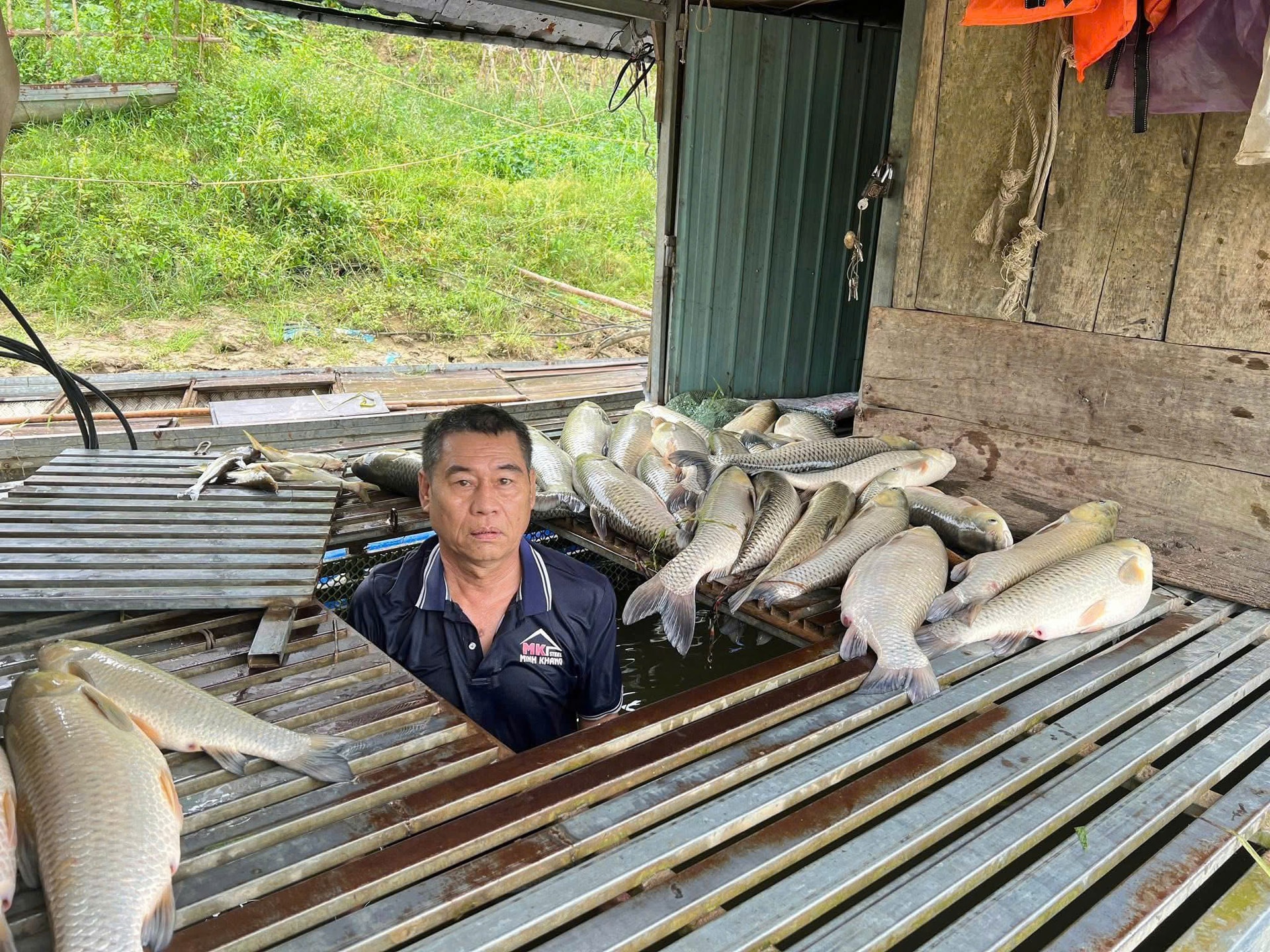 Cá lồng bè chết bất thường trên sông Lam, xã đề nghị tỉnh tìm nguyên nhân- Ảnh 1.