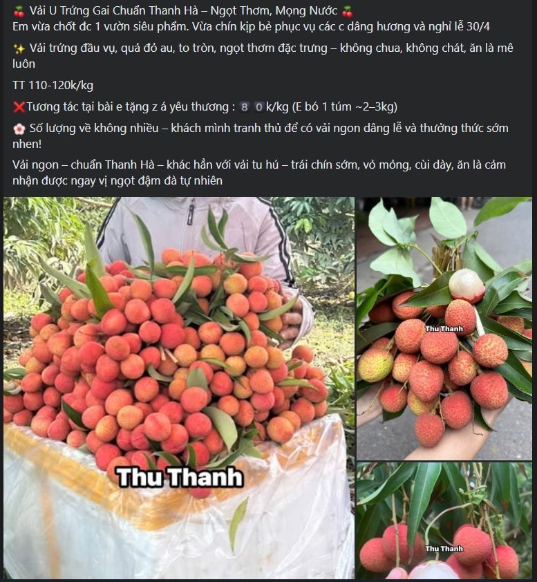 Tiểu thương lý giải giá vải tươi đầu mùa cao chót vót nhưng vẫn đắt hàng- Ảnh 3.