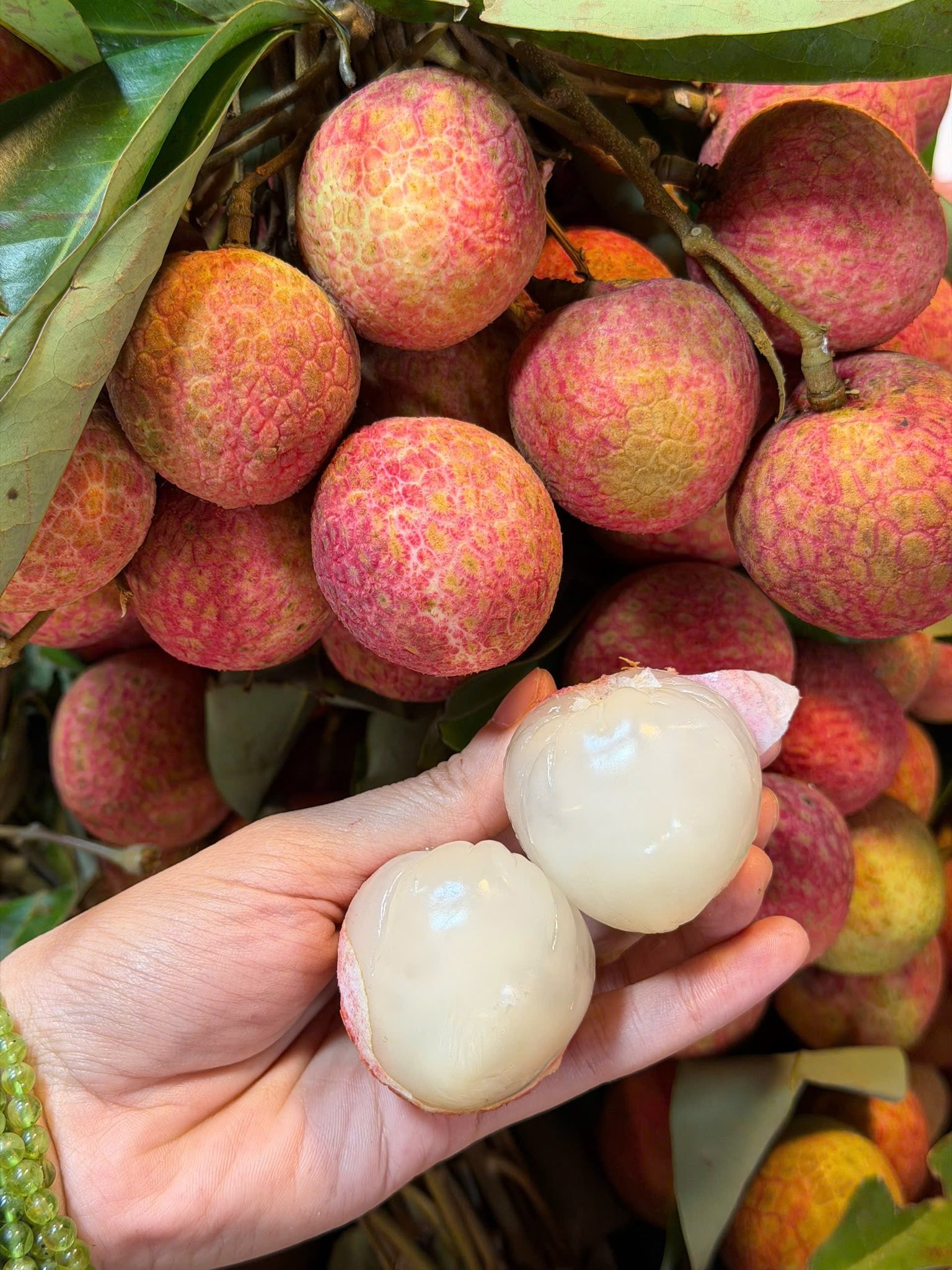 Tiểu thương lý giải giá vải tươi đầu mùa cao chót vót nhưng vẫn đắt hàng- Ảnh 5.