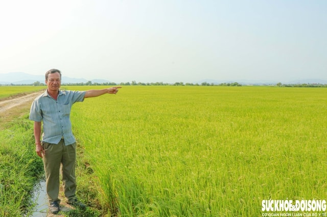 Kỳ lạ: Khu đất ở làng gốm Chăm Bàu Trúc múc lên rồi lại tự đầy- Ảnh 1.