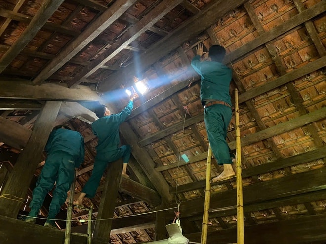Dông lốc, mưa đá tàn phá Nghệ An: Hàng nghìn héc-ta lúa đổ rạp, gần 1.000 nhà hư hỏng- Ảnh 2.