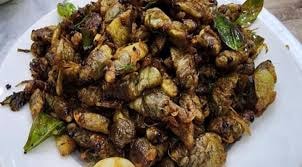Bộ Y tế yêu cầu xác minh, xử lý vụ 9 người nhập viện sau khi ăn ve sầu ở Quảng Trị- Ảnh 1.