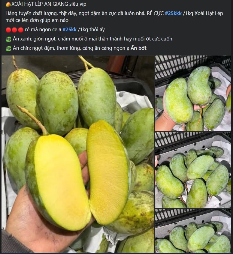 Xoài hạt lép là xoài gì mà được nhiều người tiêu dùng tiêu thụ 'chóng mặt' đến vậy?- Ảnh 2.