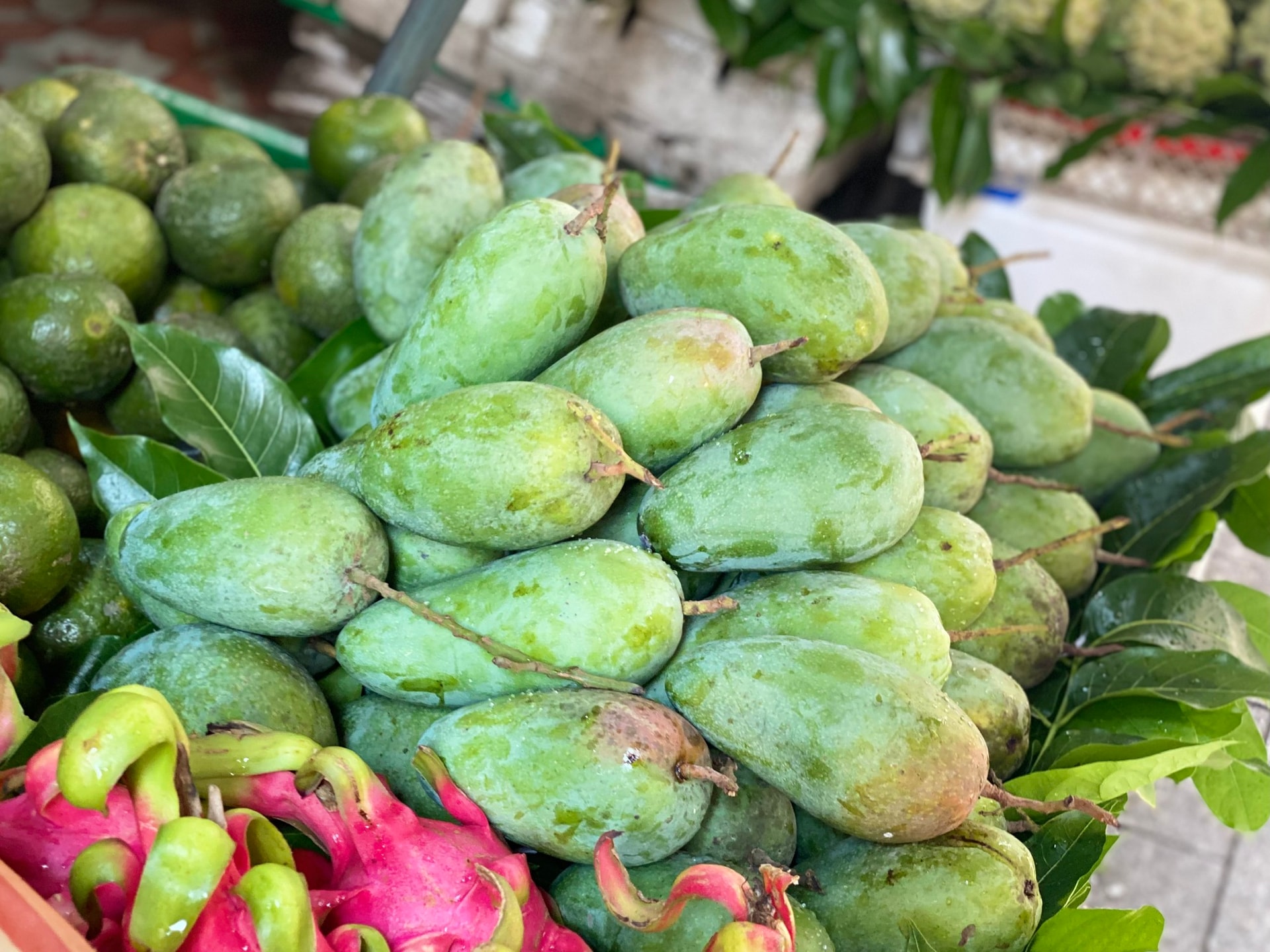 Xoài hạt lép là xoài gì mà được nhiều người tiêu dùng tiêu thụ 'chóng mặt' đến vậy?- Ảnh 1.