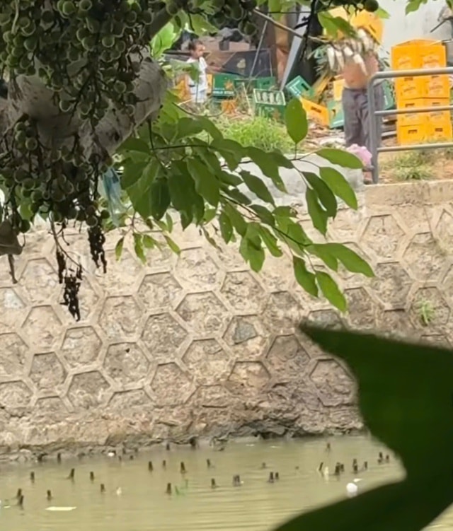 Cơ quan chức năng vào cuộc vụ người đàn ông đổ hàng loạt vỏ chai bia xuống sông ở Huế- Ảnh 1. Cơ quan chức năng vào cuộc vụ người đàn ông đổ hàng loạt vỏ chai bia xuống sông ở Huế- Ảnh 1.