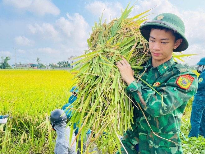 Công an, bộ đội dầm mưa giúp dân cứu lúa sau dông lốc ở Nghệ An- Ảnh 4.