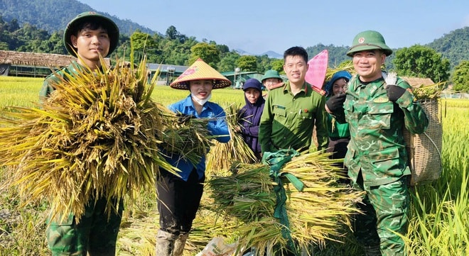 Công an, bộ đội dầm mưa giúp dân cứu lúa sau dông lốc ở Nghệ An- Ảnh 1.