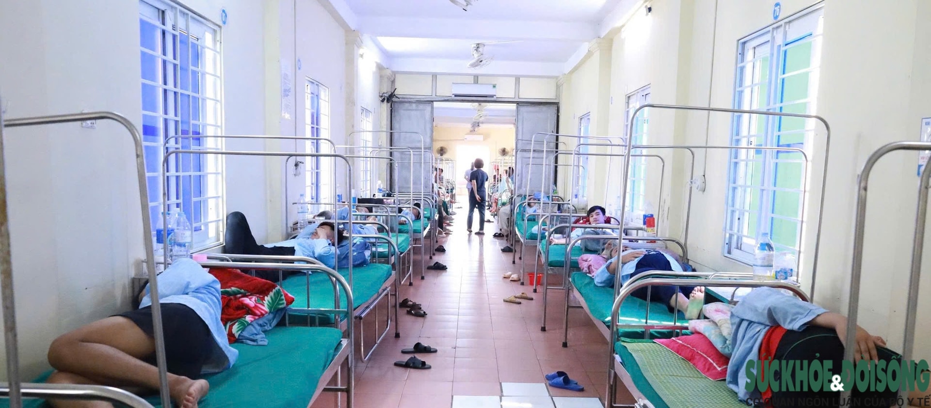 Phạt 18 triệu đồng tiệm bánh mì Quỳnh khiến 64 người ngộ độc ở Nghệ An- Ảnh 1.