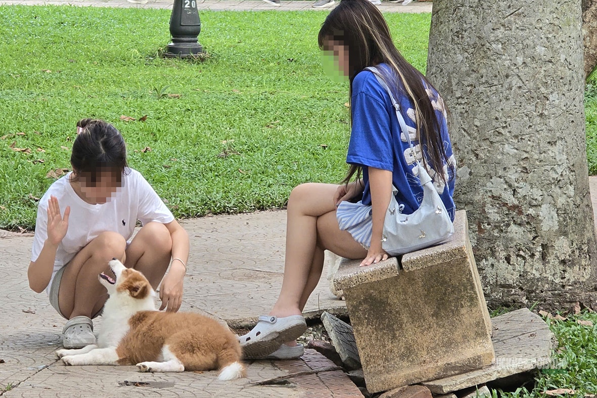 Dạo công viên trong nỗi thấp thỏm vì chó không rọ mõm- Ảnh 7. Dạo công viên trong nỗi thấp thỏm vì chó không rọ mõm- Ảnh 7.