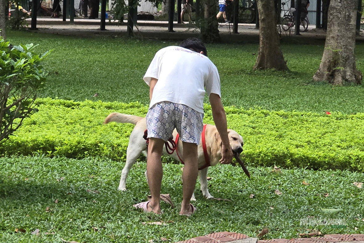 Dạo công viên trong nỗi thấp thỏm vì chó không rọ mõm- Ảnh 10. Dạo công viên trong nỗi thấp thỏm vì chó không rọ mõm- Ảnh 10.
