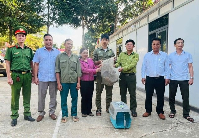 Phát hiện động vật quý hiếm trên rẫy, cả nhà mang nộp cho công an- Ảnh 1. Phát hiện động vật quý hiếm trên rẫy, cả nhà mang nộp cho công an- Ảnh 1.
