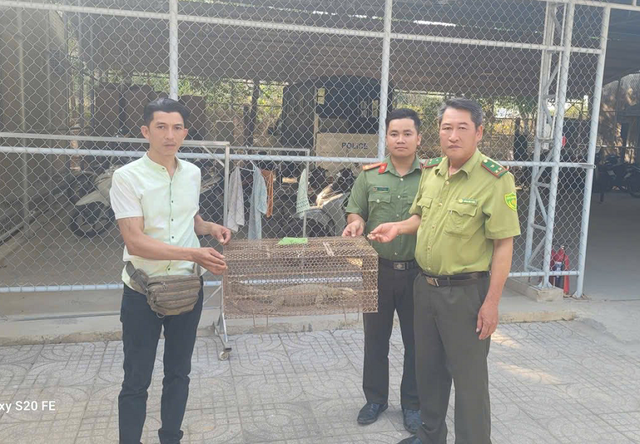 Phát hiện động vật quý hiếm trên rẫy, cả nhà mang nộp cho công an- Ảnh 2. Phát hiện động vật quý hiếm trên rẫy, cả nhà mang nộp cho công an- Ảnh 2.
