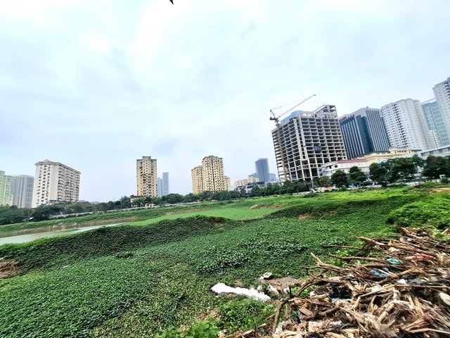 Cận cảnh công viên hồ điều hòa trên 'đất vàng' giữa Thủ đô bị bỏ hoang suốt 16 năm- Ảnh 10.