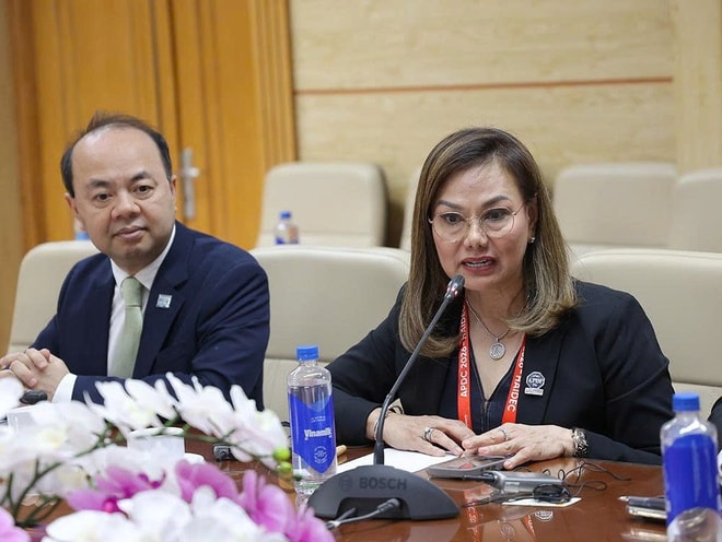 Bộ trưởng Bộ Y tế Đào Hồng Lan tiếp, làm việc với Chủ tịch Liên đoàn Nha khoa Thế giới- Ảnh 4. Bộ trưởng Bộ Y tế Đào Hồng Lan tiếp, làm việc với Chủ tịch Liên đoàn Nha khoa Thế giới- Ảnh 4.