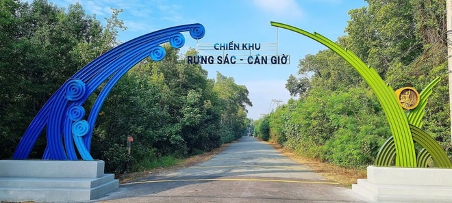 Cận cảnh cung đường xuyên rừng ngập mặn đẹp nhất TPHCM được nâng cấp lên 10 làn xe- Ảnh 12.