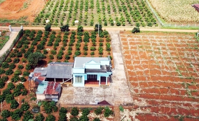 Thủ tục chuyển đất trồng cây lâu năm sang đất ở theo quy định mới- Ảnh 1.