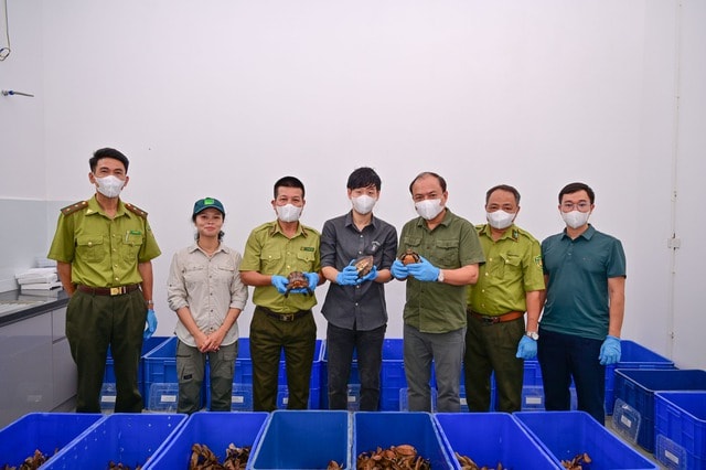 Vườn quốc gia Cúc Phương tiếp nhận lô rùa quý hiếm hồi hương từ Hàn Quốc- Ảnh 1. Vườn quốc gia Cúc Phương tiếp nhận lô rùa quý hiếm hồi hương từ Hàn Quốc- Ảnh 1.