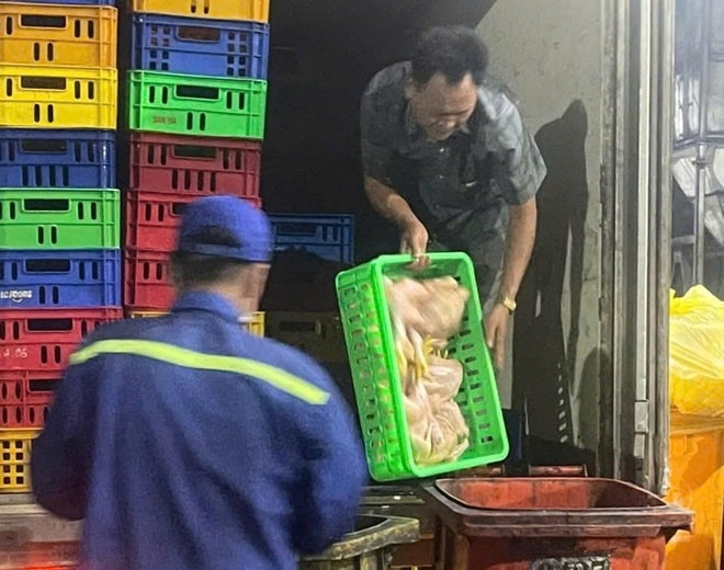 Phát hiện hàng tấn lợn chết đang phân hủy, bốc mùi trên đường đi tiêu thụ ở TPHCM- Ảnh 4.