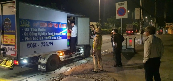 Phát hiện hàng tấn lợn chết đang phân hủy, bốc mùi trên đường đi tiêu thụ ở TPHCM- Ảnh 6.
