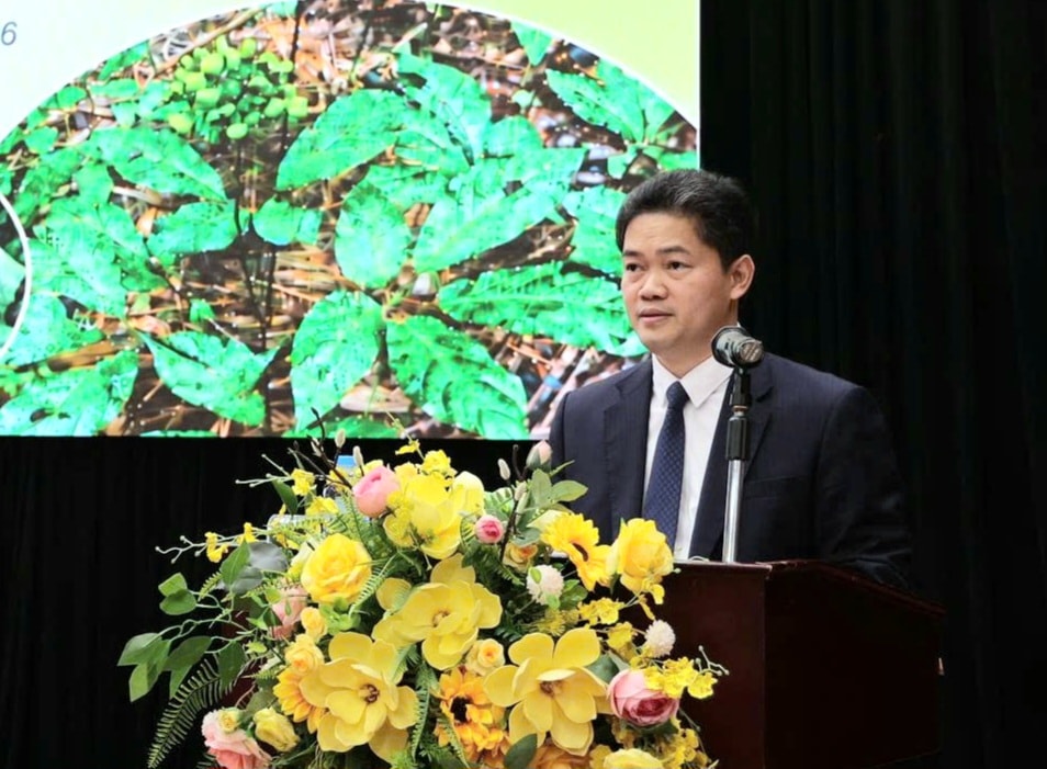Khơi thông tiềm năng dược liệu Việt Nam để trở thành ngành kinh tế mũi nhọn- Ảnh 1. Khơi thông tiềm năng dược liệu Việt Nam để trở thành ngành kinh tế mũi nhọn- Ảnh 1.