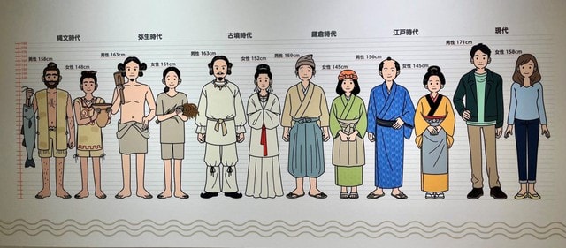 Khám phá chấn động về DNA có thể viết lại lịch sử Nhật Bản- Ảnh 2. Khám phá chấn động về DNA có thể viết lại lịch sử Nhật Bản- Ảnh 2.
