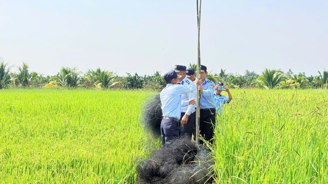 Loài chim tạo nên đặc sản nổi tiếng bị giăng nhiều 'lưới tàng hình' săn bắt- Ảnh 3.