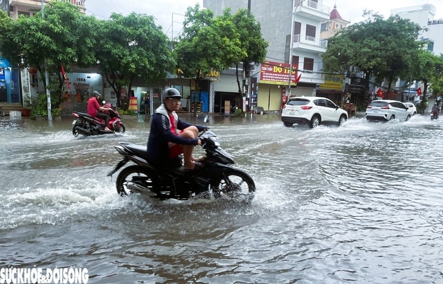 Hải Phòng cảnh báo ngập lụt cấp độ 1- Ảnh 1. Hải Phòng cảnh báo ngập lụt cấp độ 1- Ảnh 1.