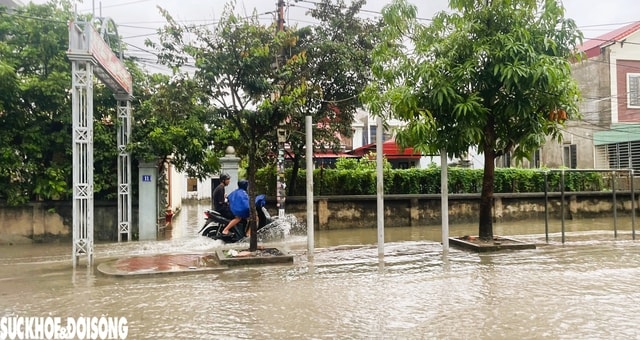 Hải Phòng cảnh báo ngập lụt cấp độ 1- Ảnh 3. Hải Phòng cảnh báo ngập lụt cấp độ 1- Ảnh 3.