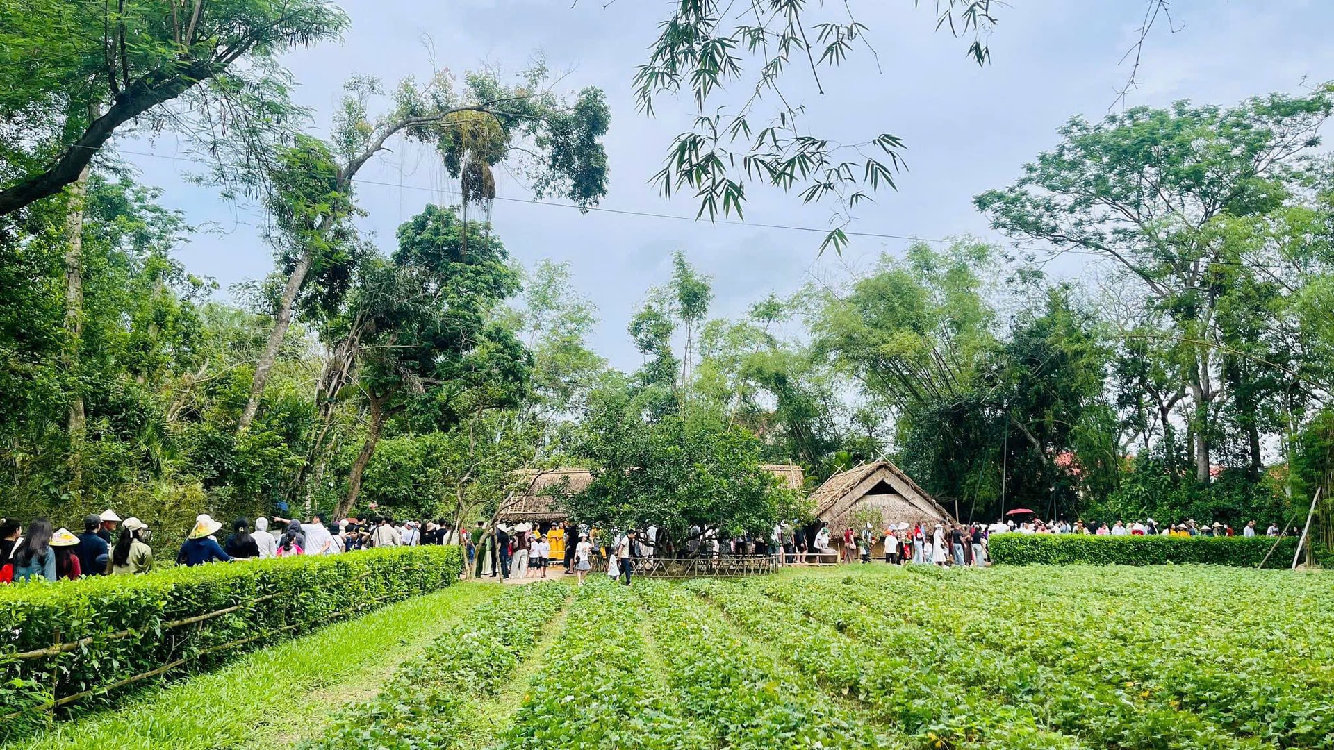 Học Bác từ những câu chuyện giản dị- Ảnh 1. Học Bác từ những câu chuyện giản dị- Ảnh 1.