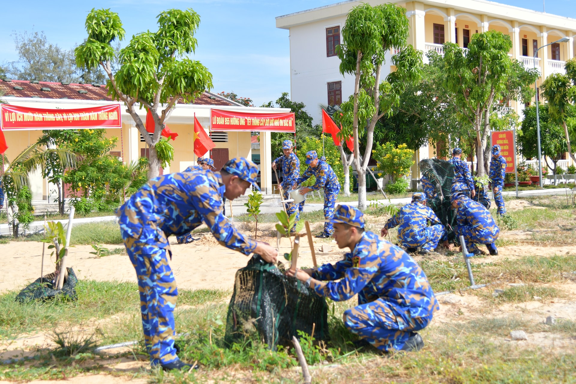 Lữ đoàn 955 phát động 'Tết trồng cây đời đời nhớ ơn Bác Hồ'- Ảnh 3.