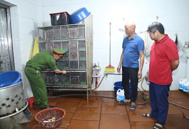 Khởi tố 3 vụ nấu cao hổ, giết mổ chim hoang dã ở Bắc Ninh- Ảnh 3.